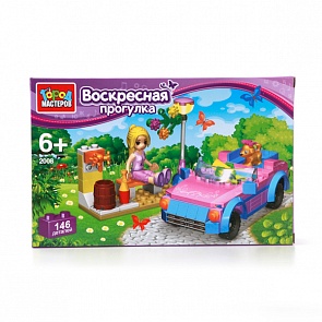 Конструктор – Воскресная прогулка, 146 деталей (Город Мастеров, AA-2008-Rsim)